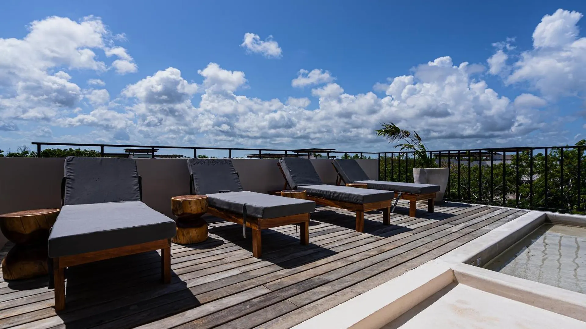 Apartment Ferienwohnung Penthouse With Private Jungle, Pool, Downtown Tulum
