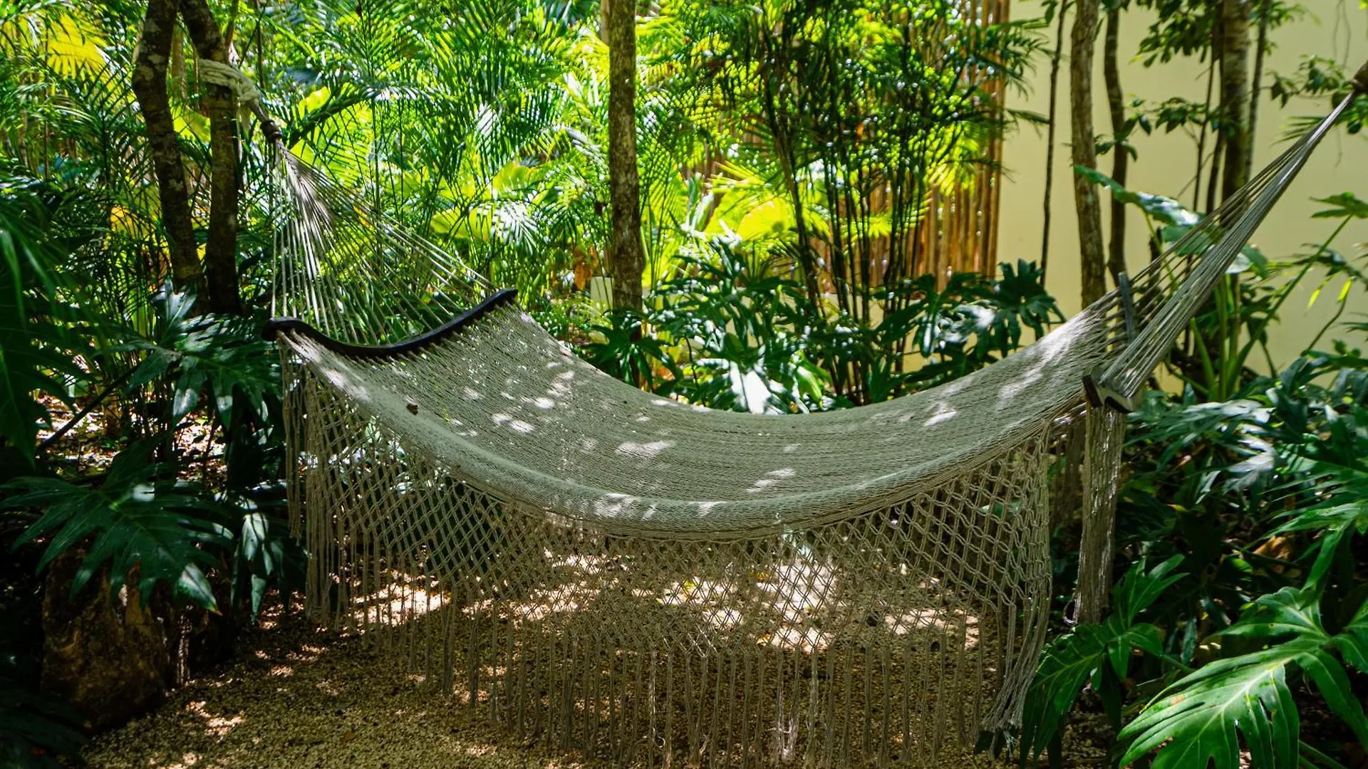 Ferienwohnung Penthouse With Private Jungle, Pool, Downtown Tulum 0*,